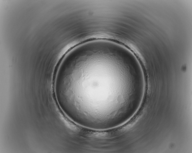 X0000093770845200710231311