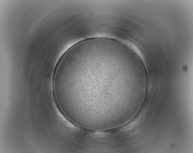 X0000093770847200710231311