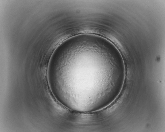 X0000093770849200710231311