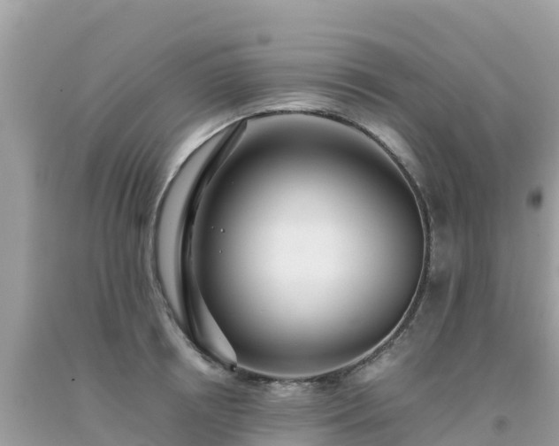 X0000093770850200710231311