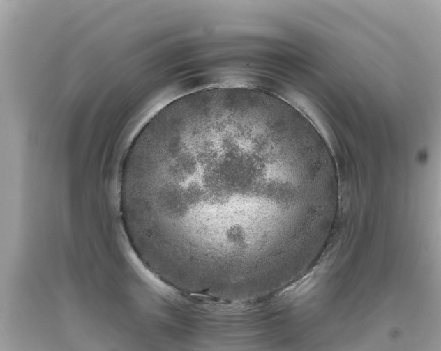 X0000093770851200710231311