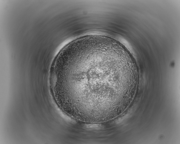 X0000093770853200710231311