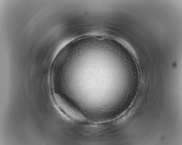 X0000093770855200710231311