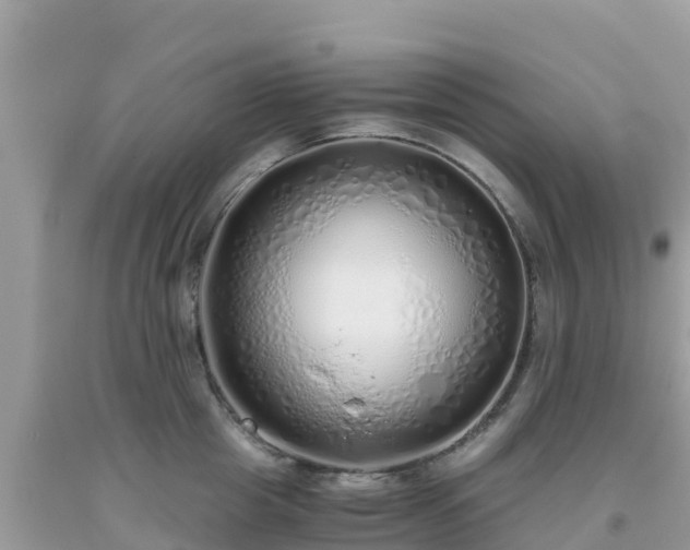 X0000093770857200710231311