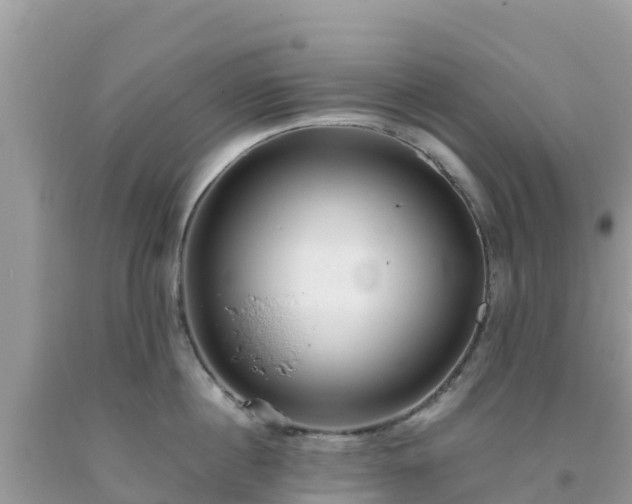 X0000093770860200710231311