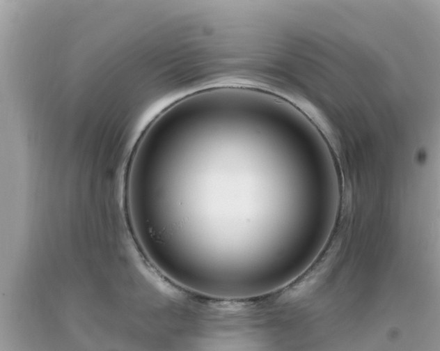 X0000093770862200710231311