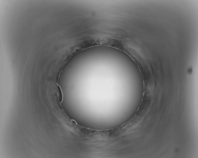 X0000093770865200710231310