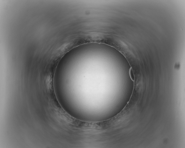 X0000093770866200710231310