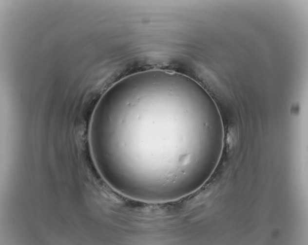 X0000093770867200710231310