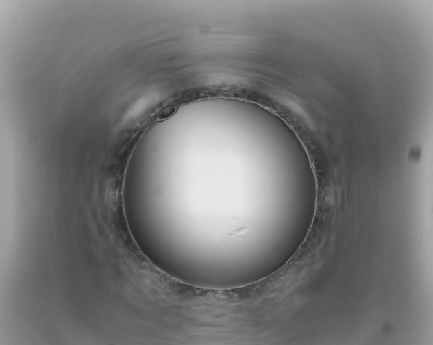 X0000093770869200710231310