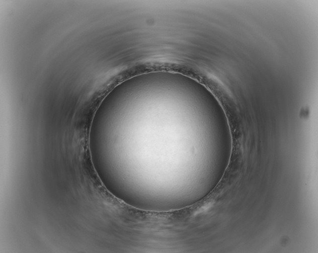 X0000093770870200710231310