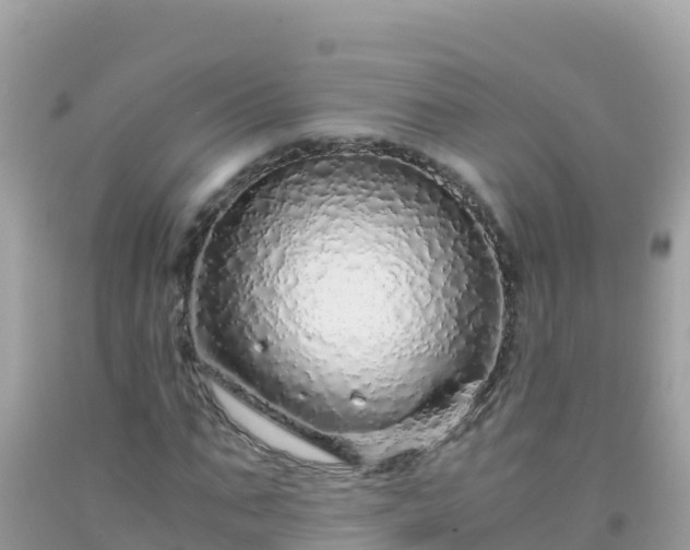 X0000093770871200710231310