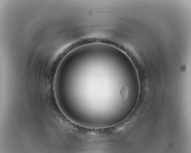 X0000093770872200710231310