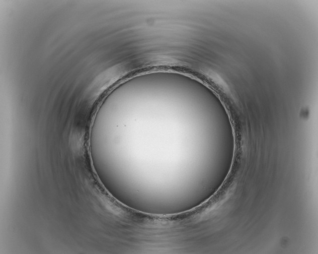 X0000093770873200710231310