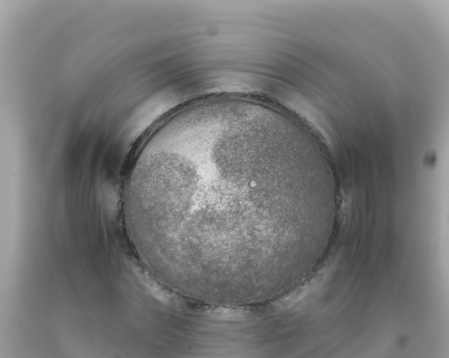 X0000093770874200710231310