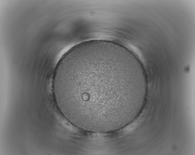 X0000093770875200710231310