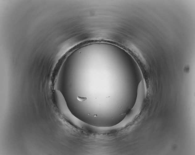 X0000093770876200710231310