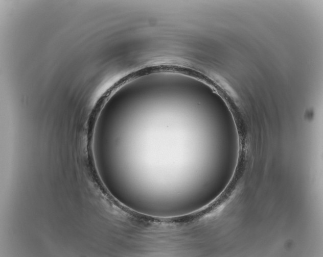 X0000093770877200710231310