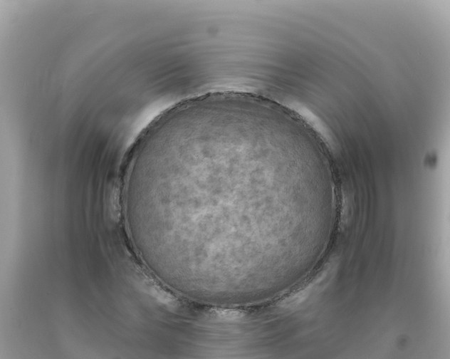 X0000093770878200710231310