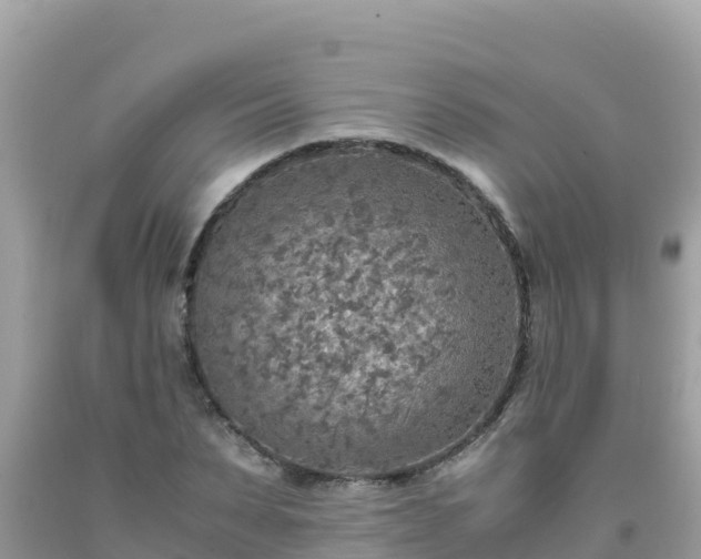 X0000093770879200710231310