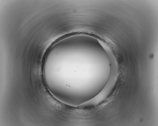 X0000093770880200710231310