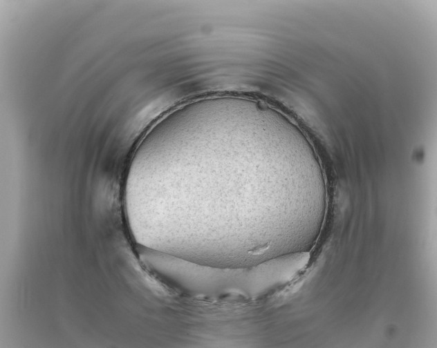 X0000093770881200710231310