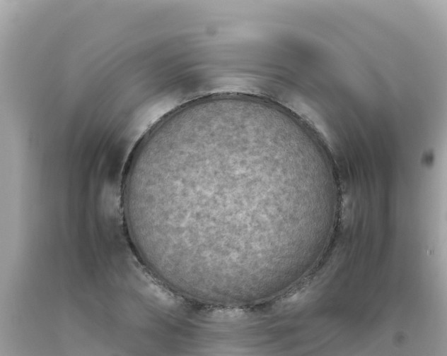 X0000093770882200710231310