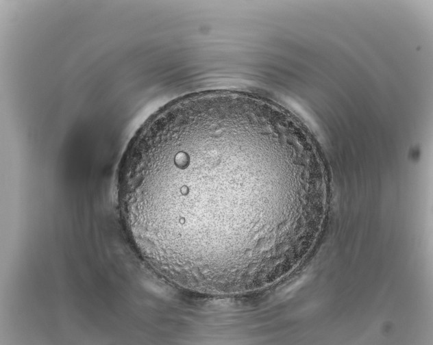 X0000093770883200710231310