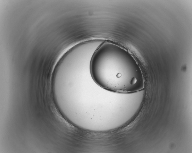 X0000093770884200710231310