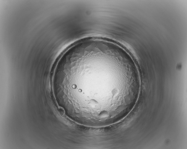 X0000093770887200710231310