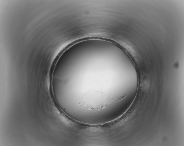 X0000093770888200710231310