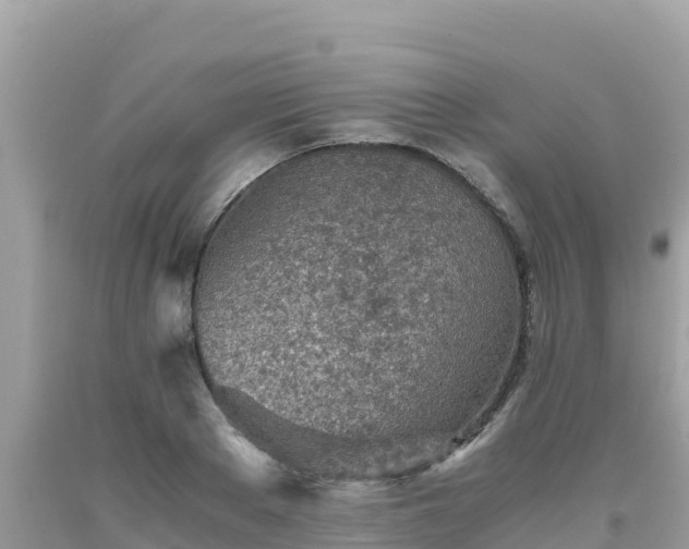 X0000093770889200710231310