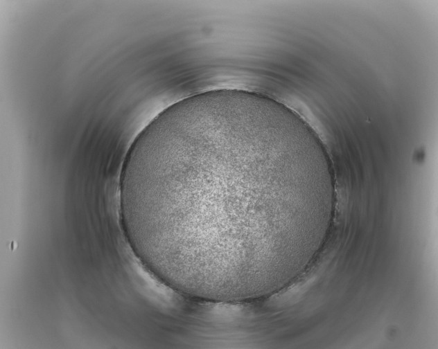 X0000093770890200710231310