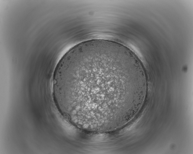 X0000093770891200710231310