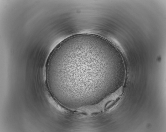 X0000093770892200710231310