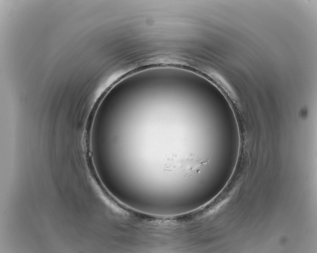 X0000093770893200710231310