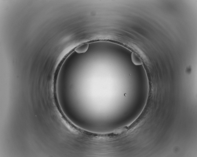 X0000093770894200710231310