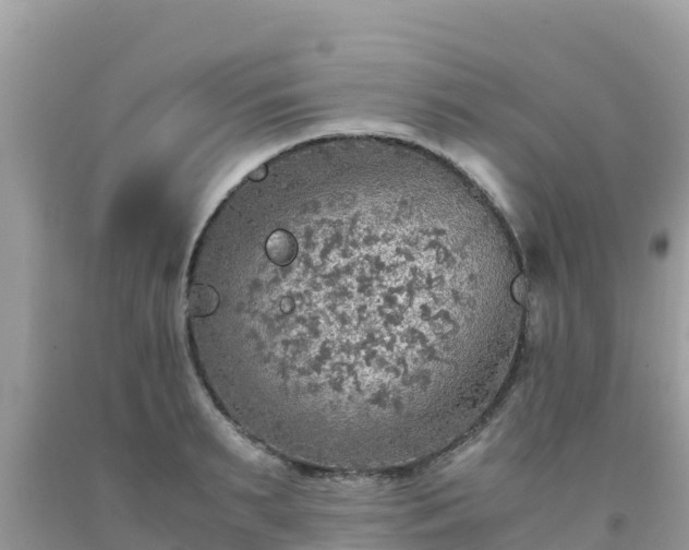 X0000093770895200710231310