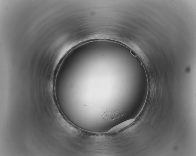 X0000093770896200710231310