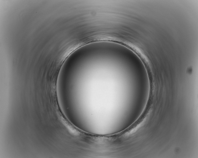 X0000093770897200710231310