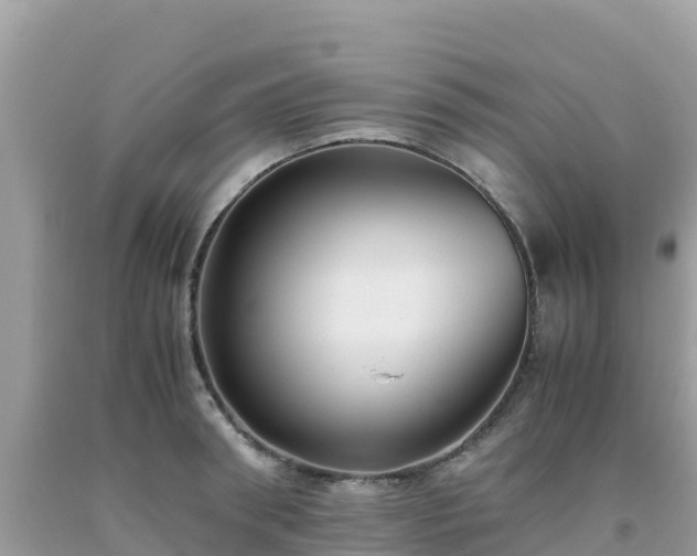 X0000093770898200710231310