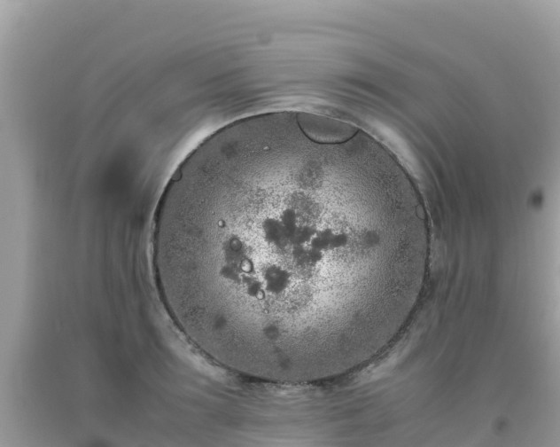 X0000093770899200710231310