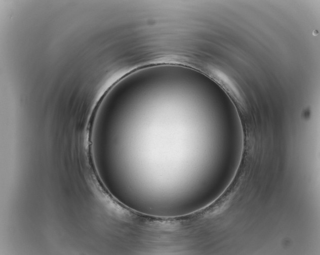 X0000093770900200710231310