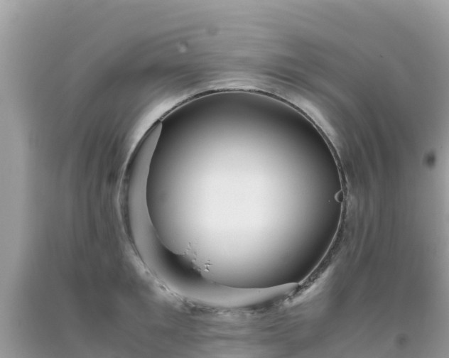 X0000093770901200710231310