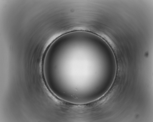 X0000093770902200710231310