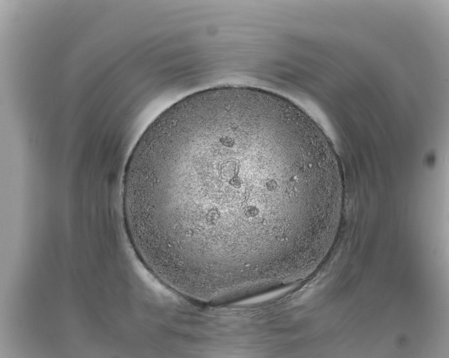 X0000093770903200710231310