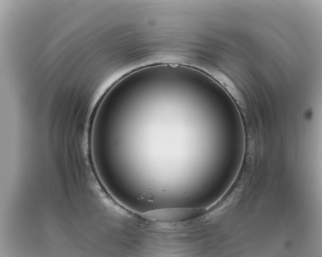 X0000093770904200710231310