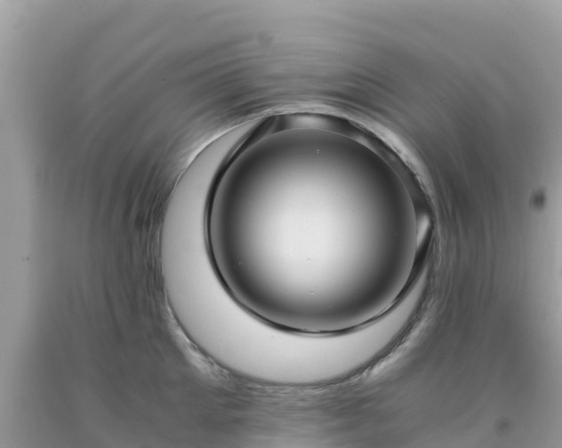 X0000093770905200710231310