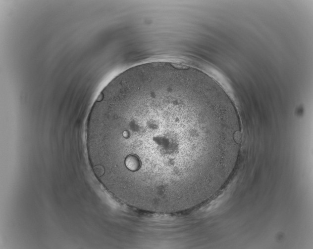 X0000093770907200710231310