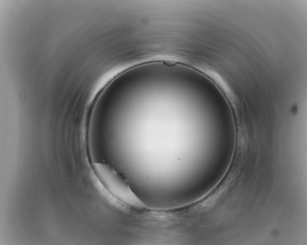 X0000093770910200710231310